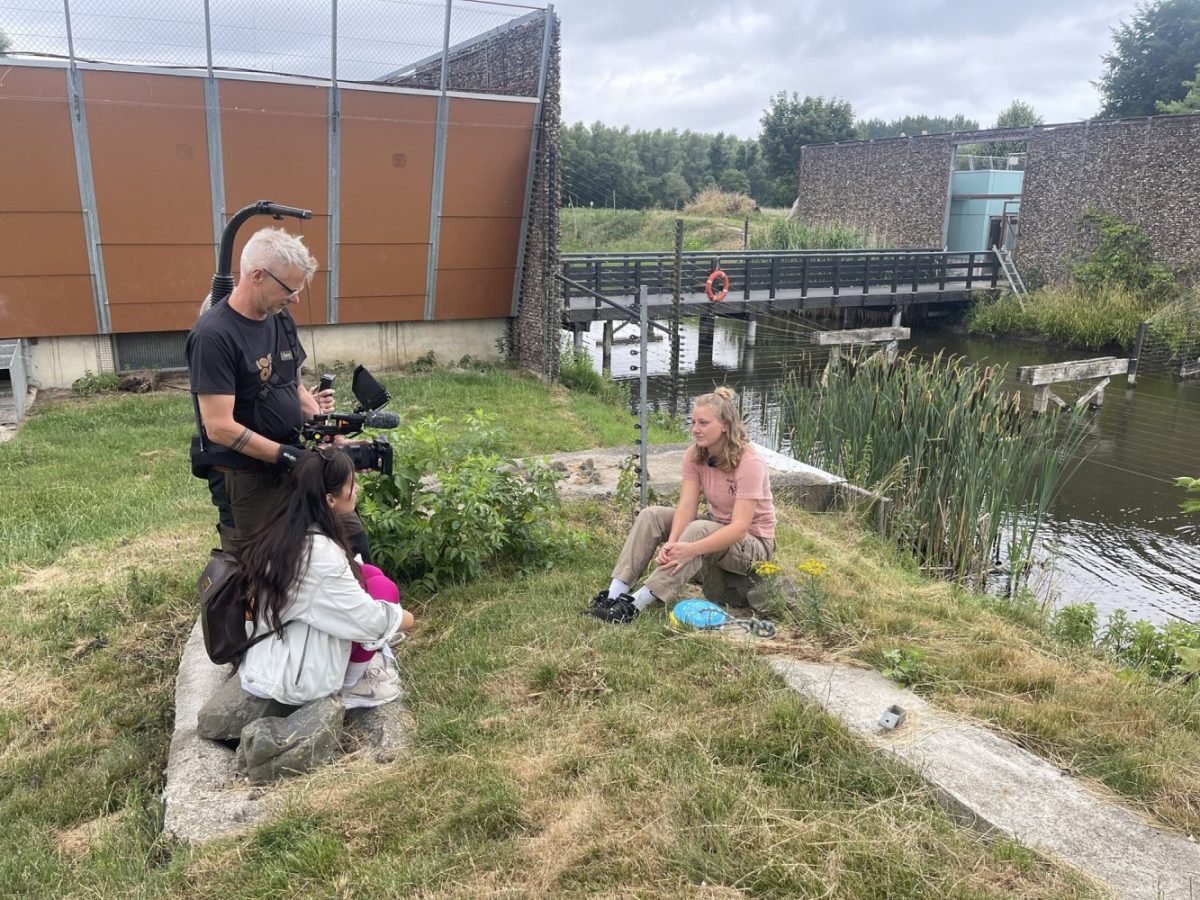 Ein Kamerateam filmt eine Tierpflegerin von AAP vor den Affeninseln.